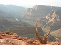 17.D.Gawlak-Grand_Canyon