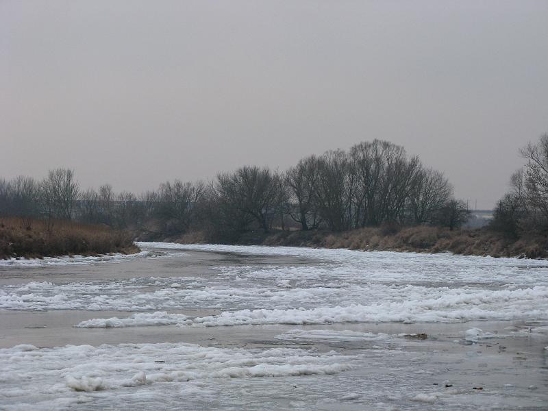 IMG_2990.jpg