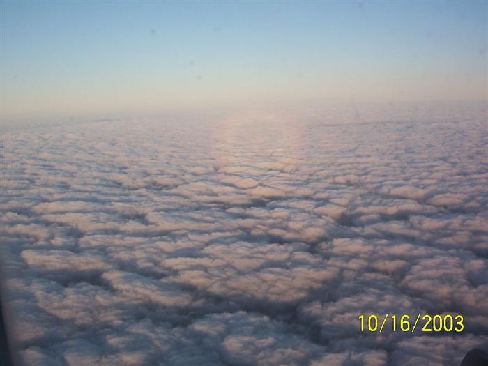 276.jpg