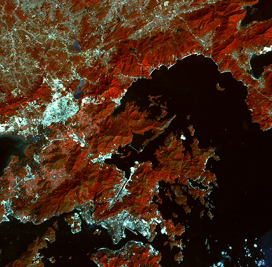 Spot Image