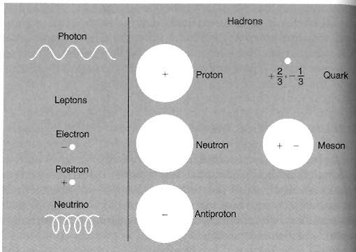 Fermions diagram.