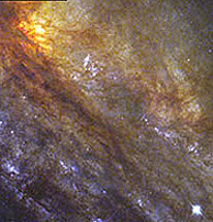 Image of a typical gas and dust cloud within a developing spiral nebula.