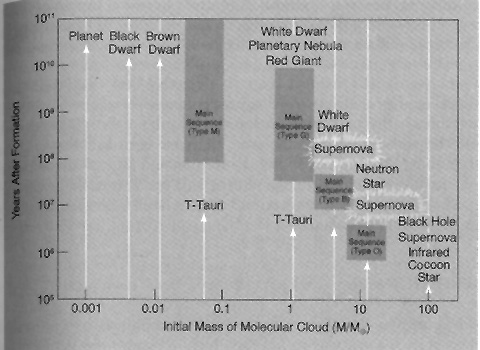 - Diagram showing the evolution of a star dependent on the initial mass of it's molecular cloud.
