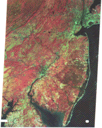 Landsat image of New Jersey and New York City (October 10, 1972) - Color Composite of MSS Band 4 (Blue), MSS Band 5 (Green), and MSS Band 7 (Red)