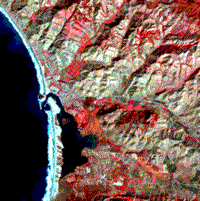 False color composite image of Morro Bay, California.