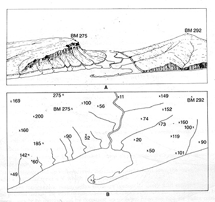 Sketch diagram - (A) perspective of a coastal landscape, and (B) set of surveyed points and elevations for (A).