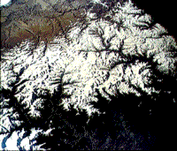 B/W photograph of the Himalayas, taken by L.G. Cooper during the MA-9 mission.