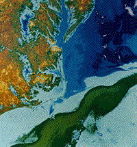 Color-coded HCMM Day-Thermal image of the Gulf Stream off of the North Carolina-Virginia coast.