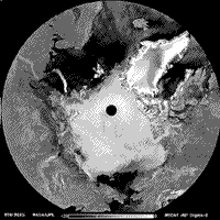 B/W NSCAT image showing the prevailing ice cover of the north polar regions.