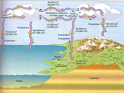 Hydrologic Cycle Diagram.