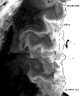 B/W NOAA AVHHR thermal IR image of the California coastline.