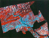 False color composite Landsat image (june 1977) of the Harrisburg, Pennsylvania, service area.