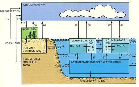 Diagram showing the exchange of carbon among the major water reservoirs of the Earth.