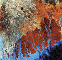 Color Landsat image of the western half of the Ganges Delta in Bangladesh.