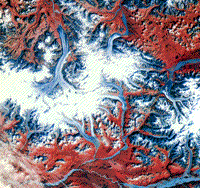 False color satellite image of the Wrangell Mountains, Alaska.
