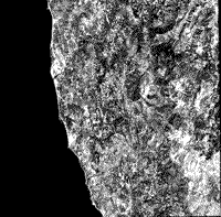 B/W SPOT panchromatic image covering the Gold Beach, Pickett Peak, and segments of the Sixes River and Yolla Bolly terranes.