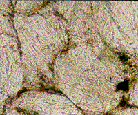 Color photomicrograph of undecorated PDFs in sandstone from the Sedan nuclear cratering event.