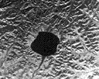 B/W Seasat radar image of the Elgygytgyn Crater, Siberia.