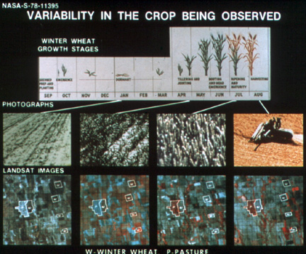 Variability in the Crop being Observed Diagram.