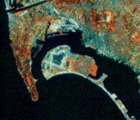 MSS image of central San Diego, March 30 1975.