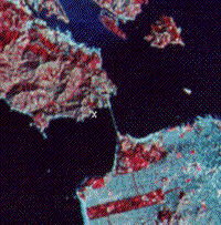 False color Landsat closeup of the Golden Gate Bridge.