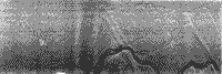 B/W radar image showing the effects depolarization on a pulse of photon energy.