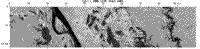 B/W SIR-C SAR image showing L-band radar penetration in the Amazon Basin, Brazil.