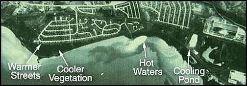 Aerial thermal photograph of a residential district.